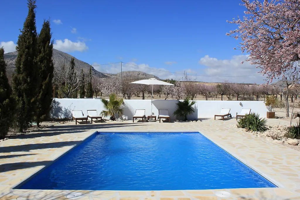 Luxe Bed & Breakfast Casa Paco Vélez Rubio