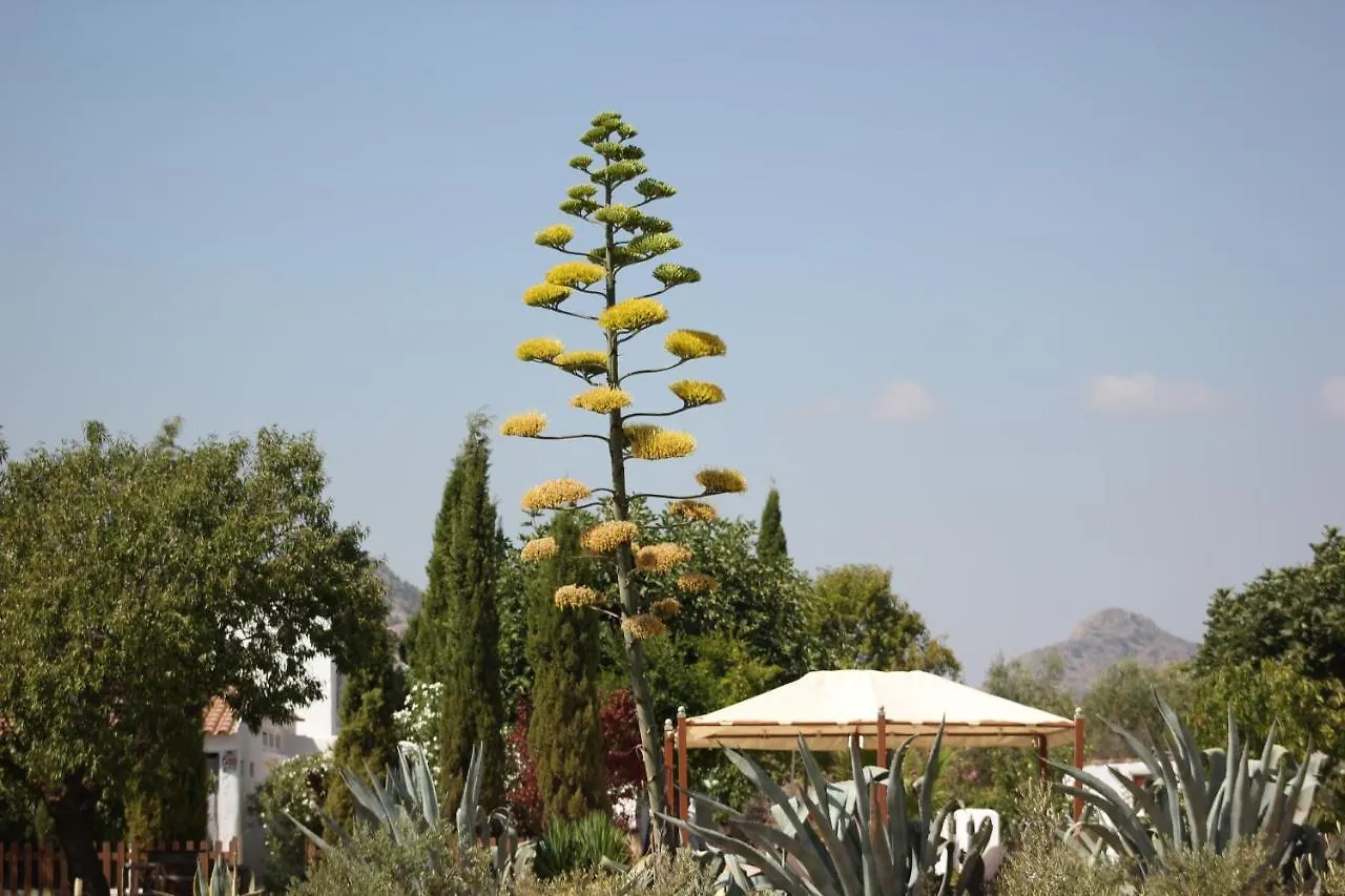 ***  Luxe Bed & Breakfast Casa Paco Vélez Rubio Spanje
